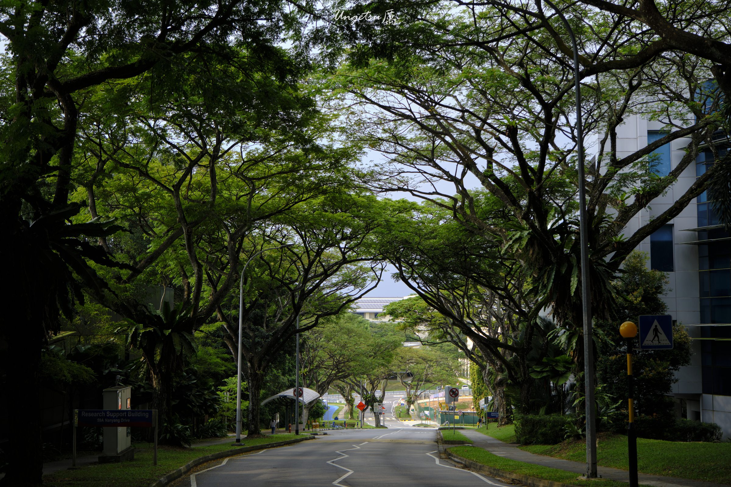 Nanyang Routines