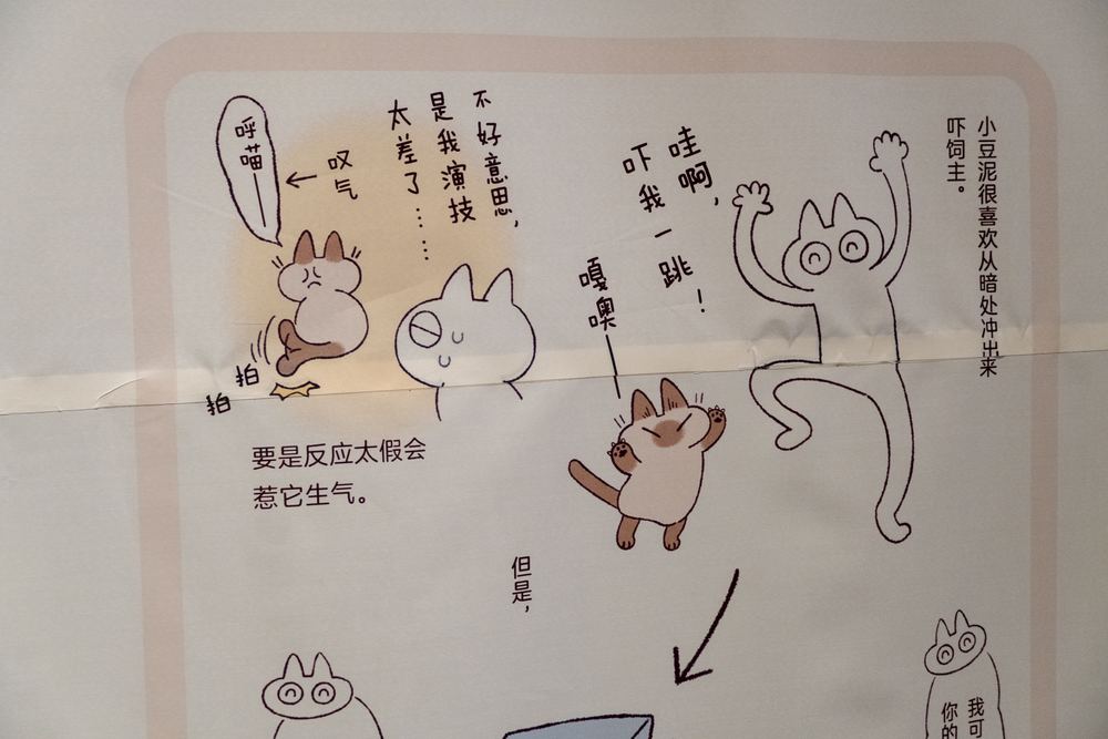 西安之夏 6