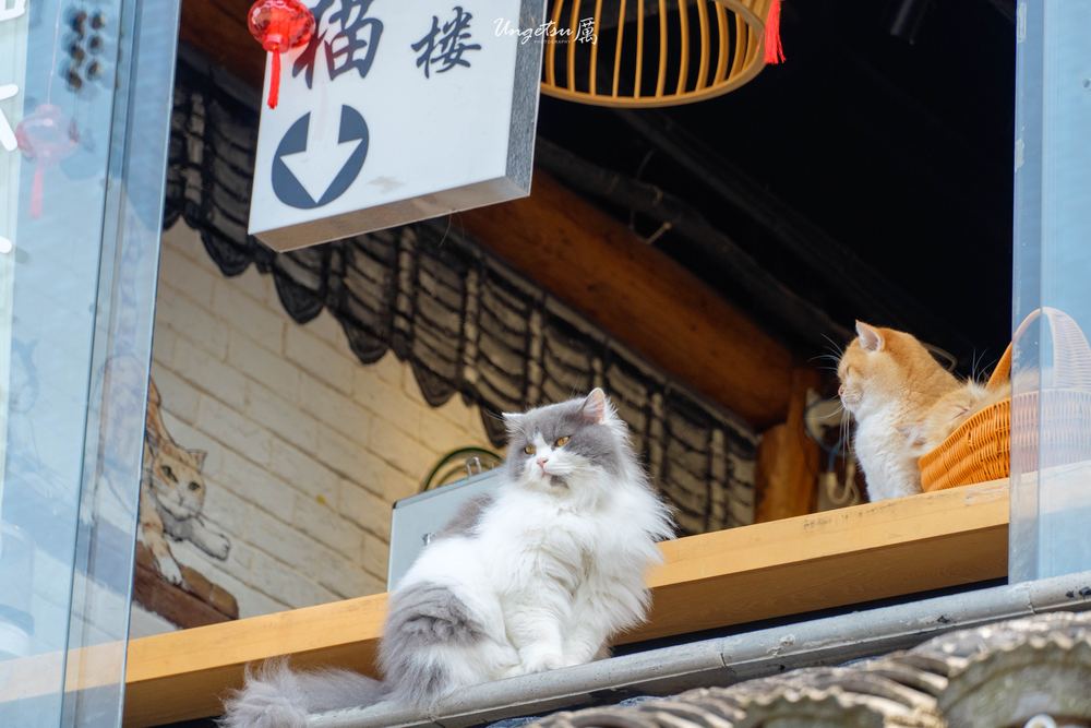 苏州之行 10