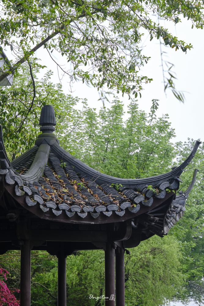 西湖 3