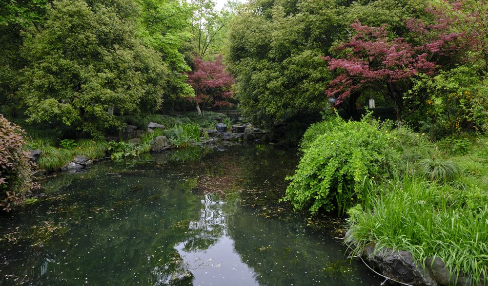 西湖 7