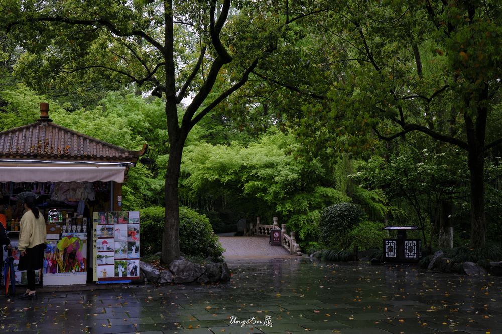 西湖 13