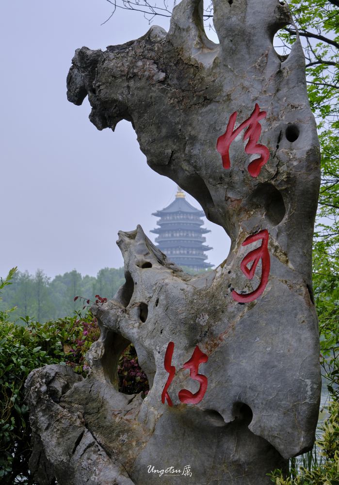 西湖 16