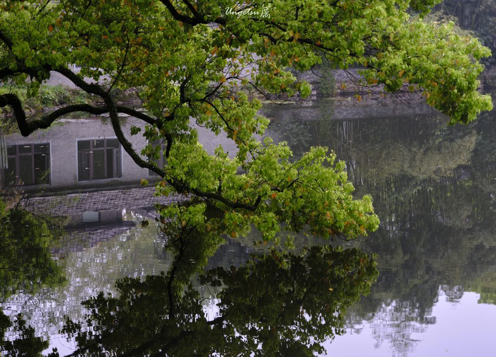 西湖 25