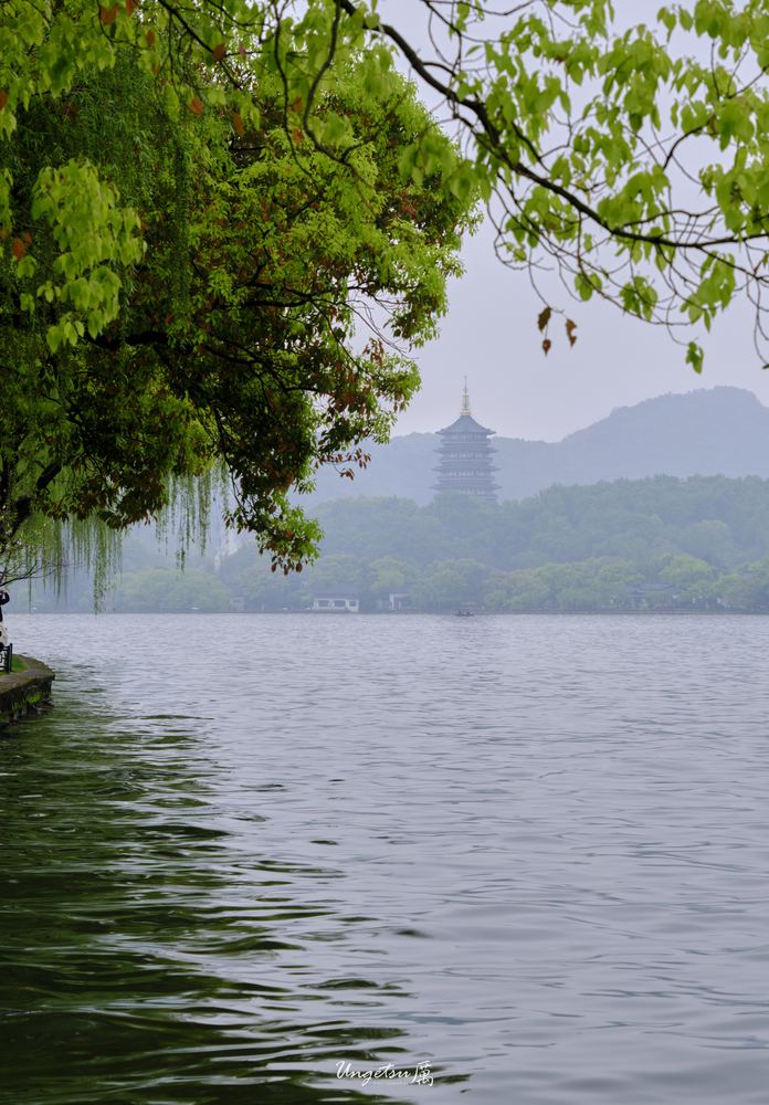 西湖 36