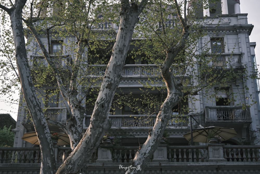 宝石山 39