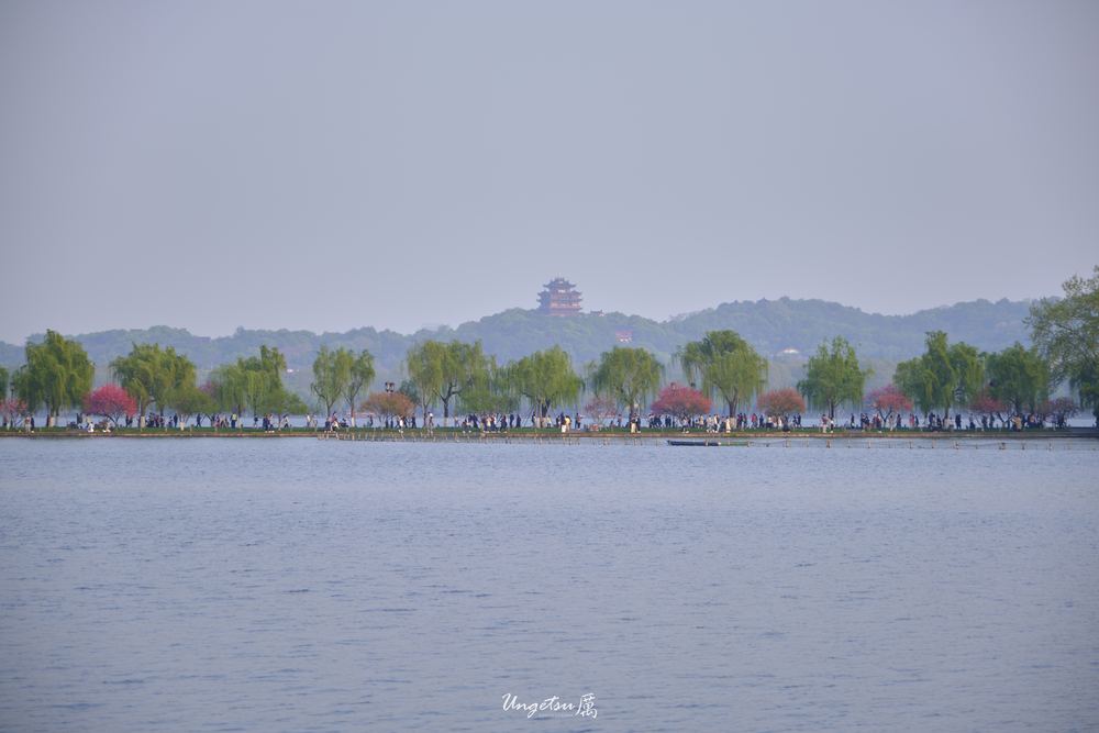 宝石山 40