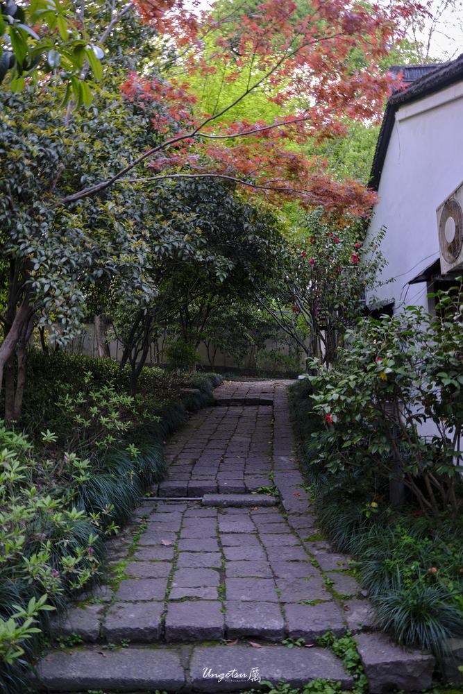 宝石山 46