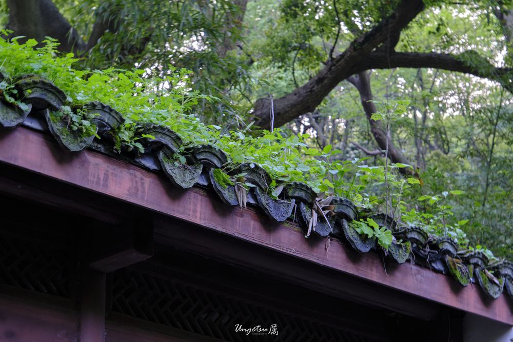 宝石山 54