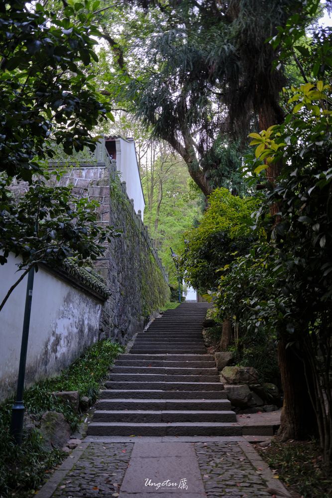 宝石山 55