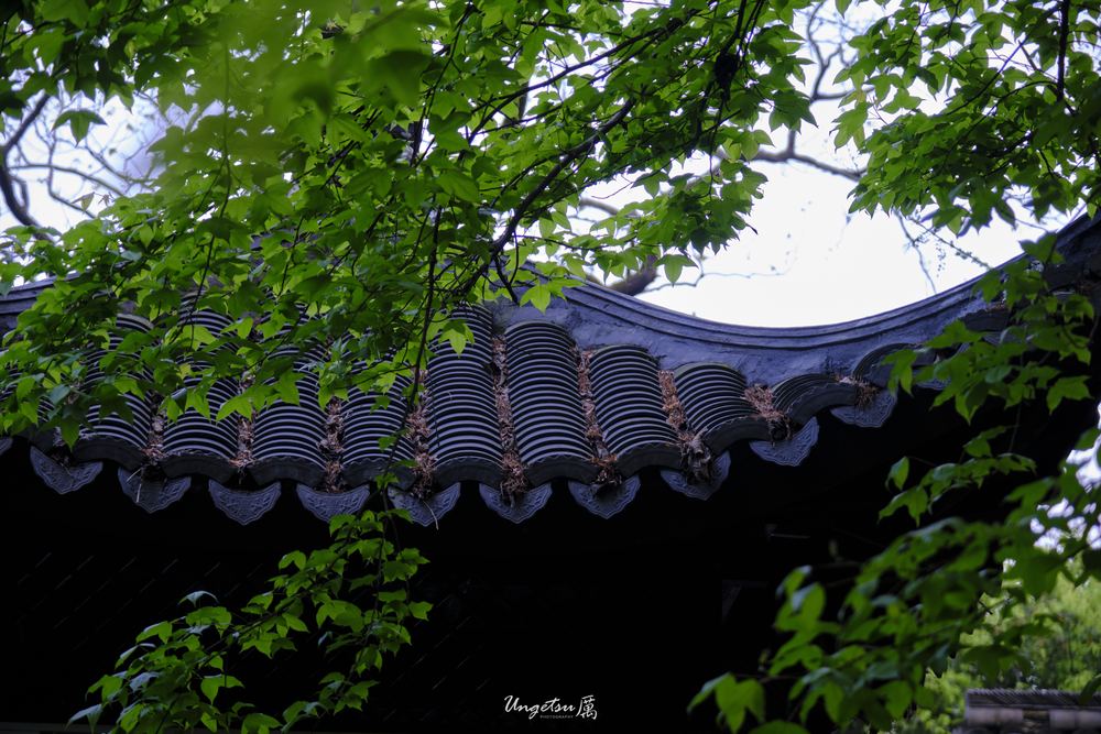 宝石山 58