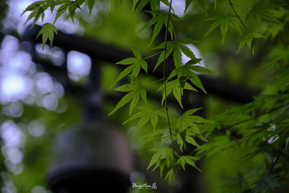 宝石山 59