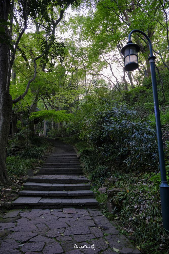 宝石山 61