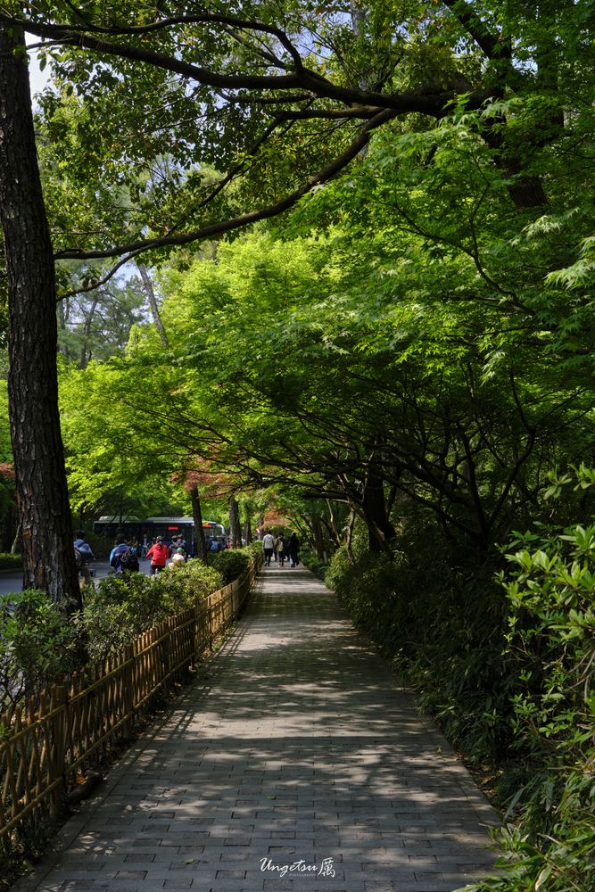 灵隐寺 9