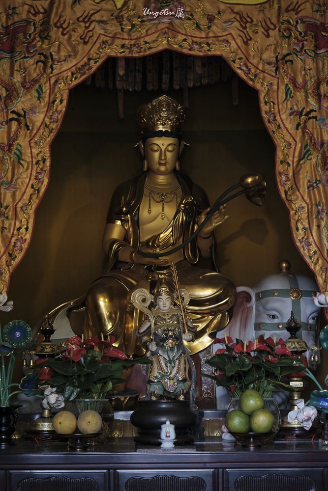 灵隐寺 14