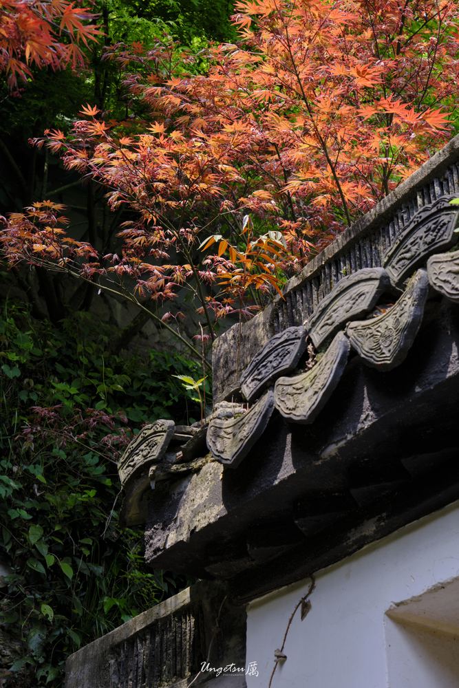 灵隐寺 16