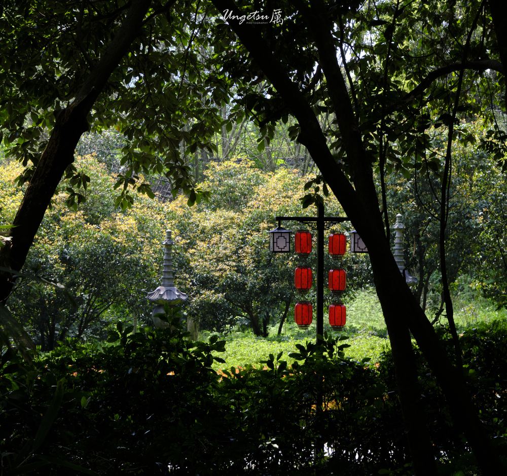 灵隐寺 18