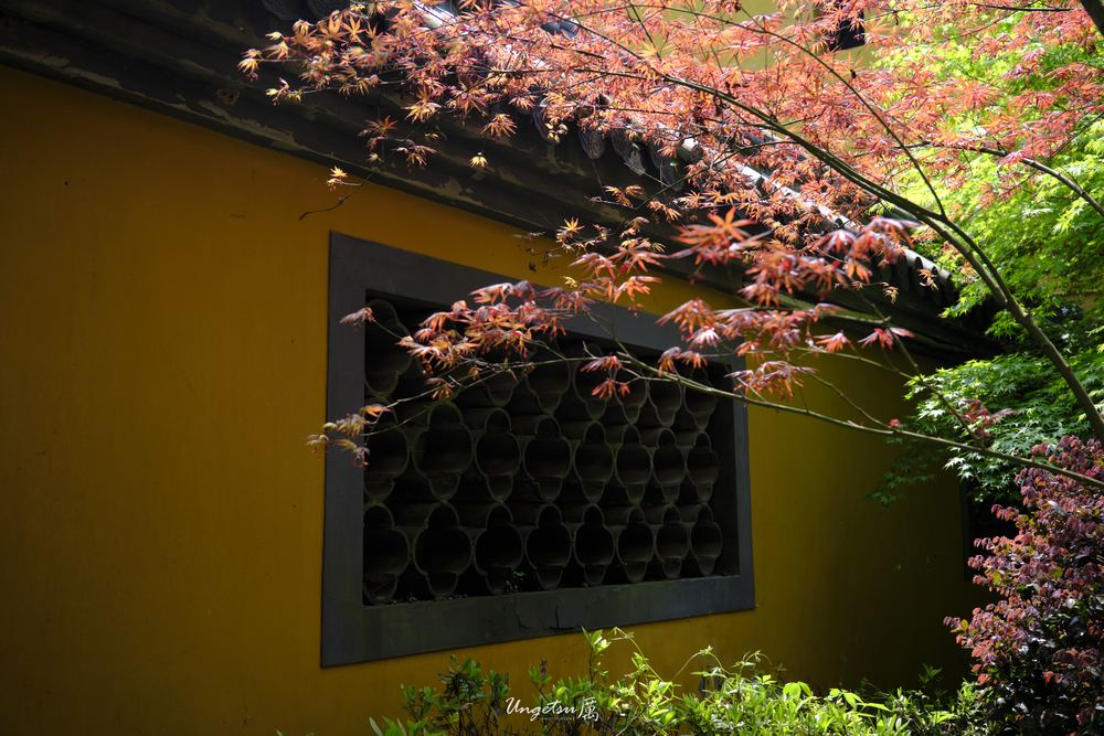 灵隐寺 22