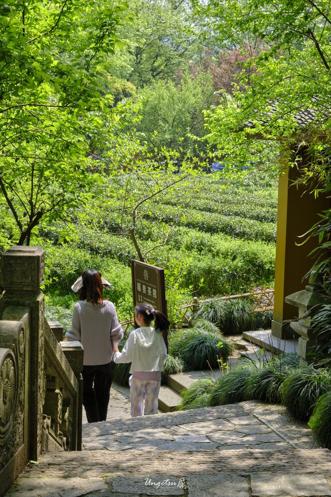 灵隐寺 23