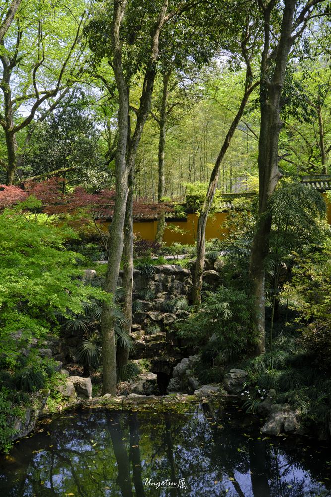 灵隐寺 25