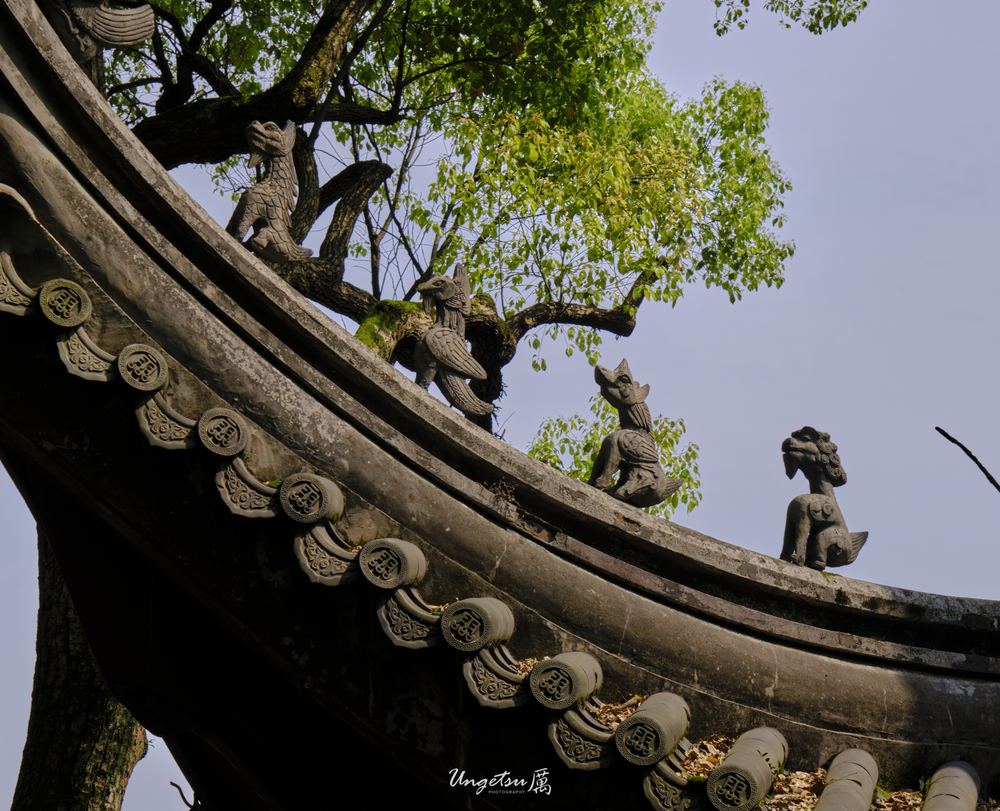 灵隐寺 47