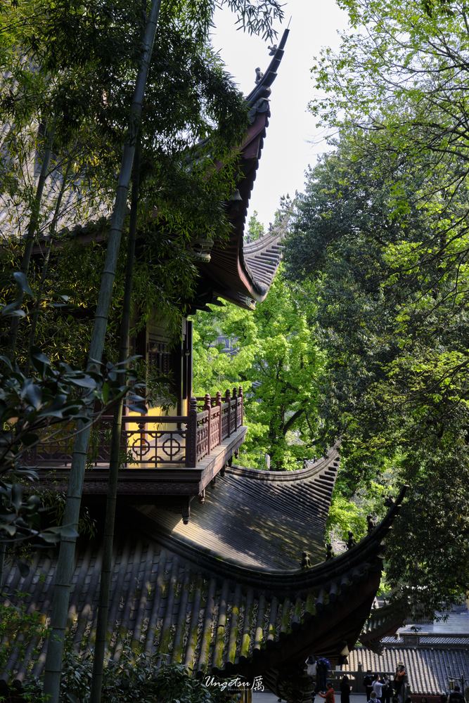 灵隐寺 49