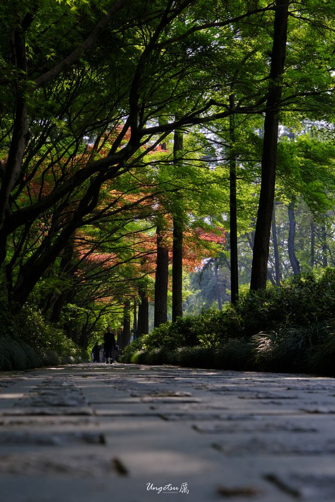 灵隐寺 56