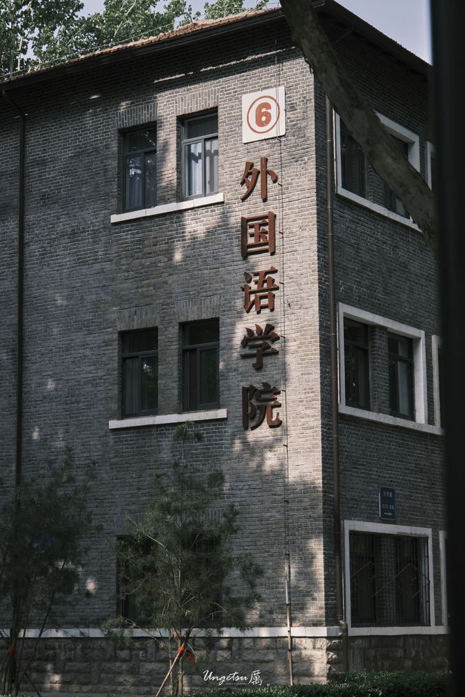 山大终了 3