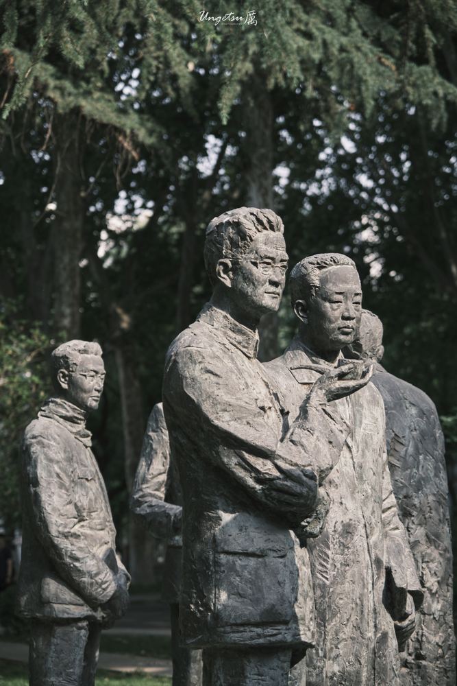山大终了 14