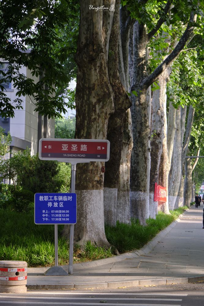 山大终了 40