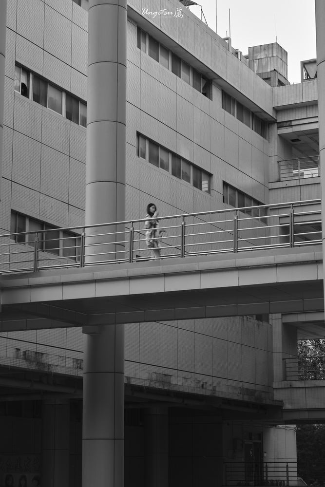 山大终了 44