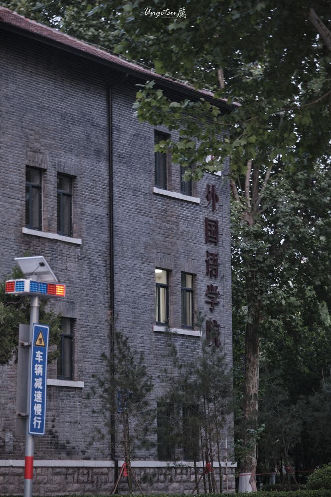 山大终了 86