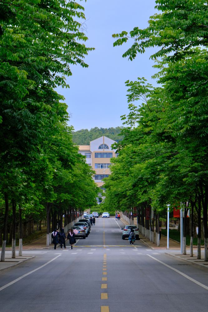 威海听潮 77