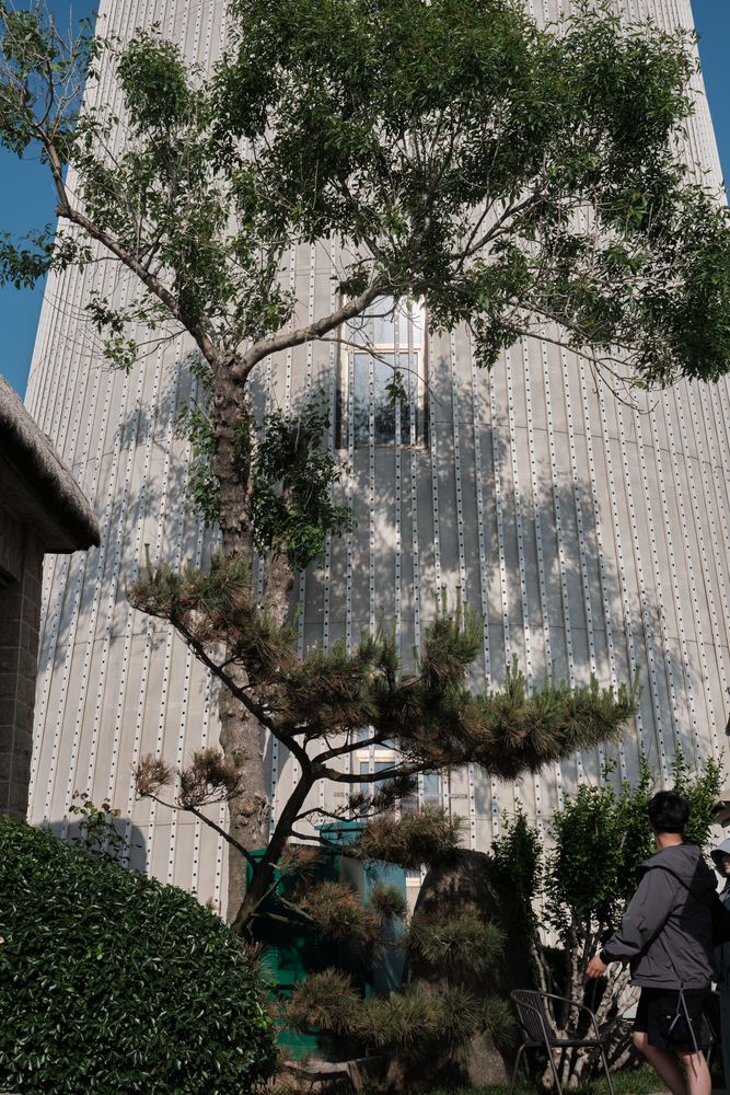 威海听潮 186