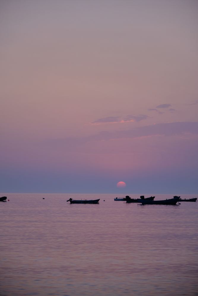 威海听潮 221