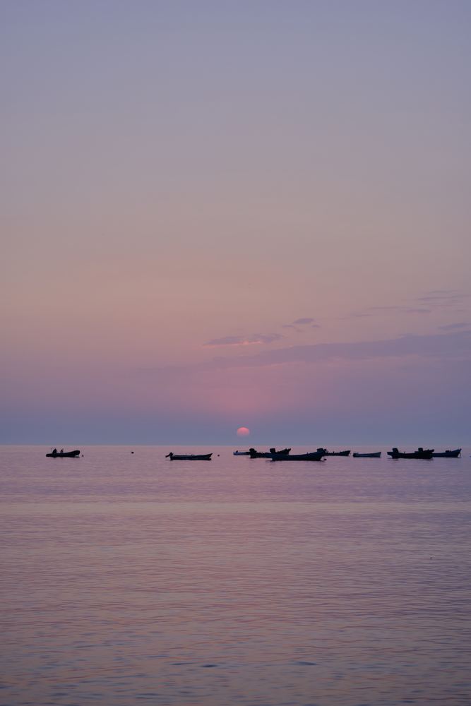 威海听潮 223