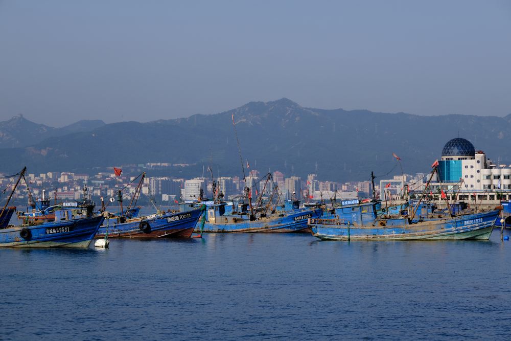 威海听潮 252