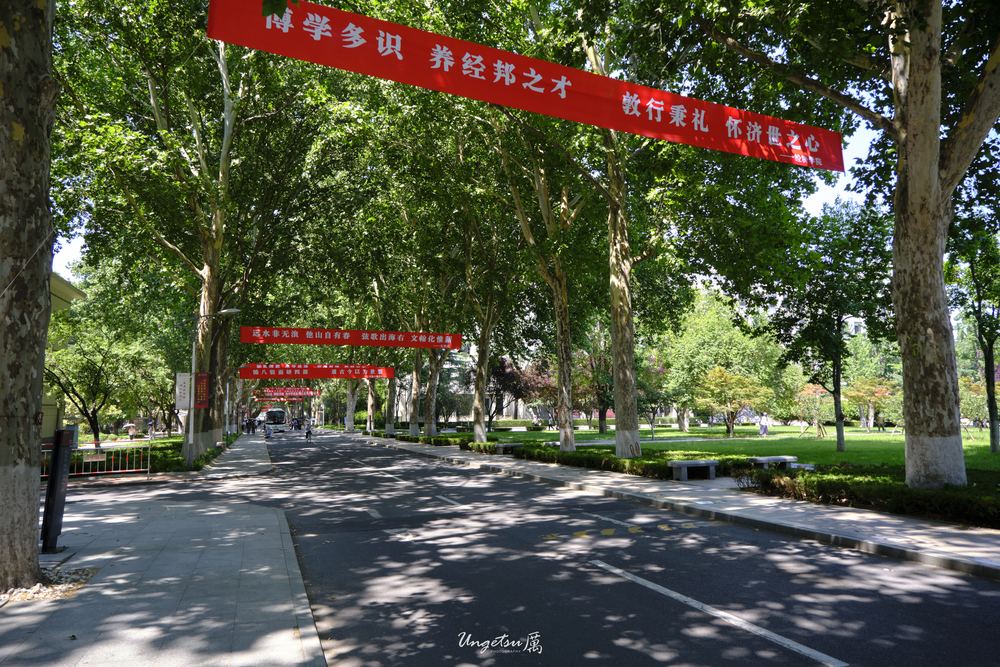 白玉兰路 2