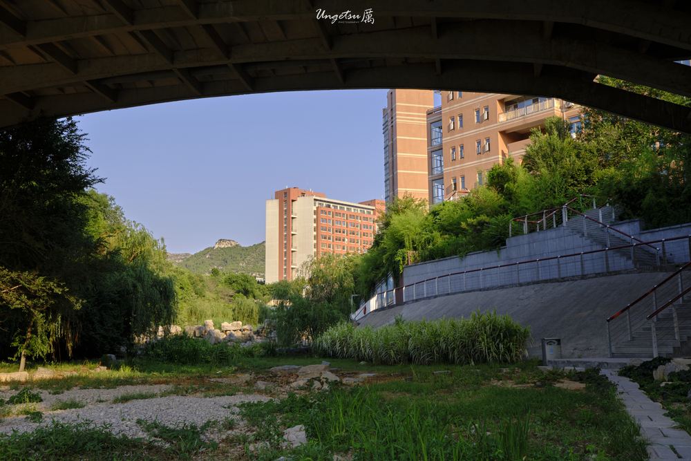 白玉兰路 6