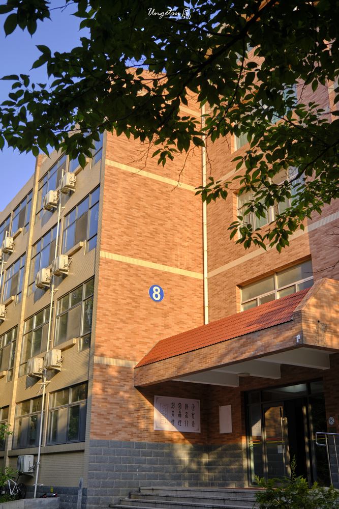 白玉兰路 13