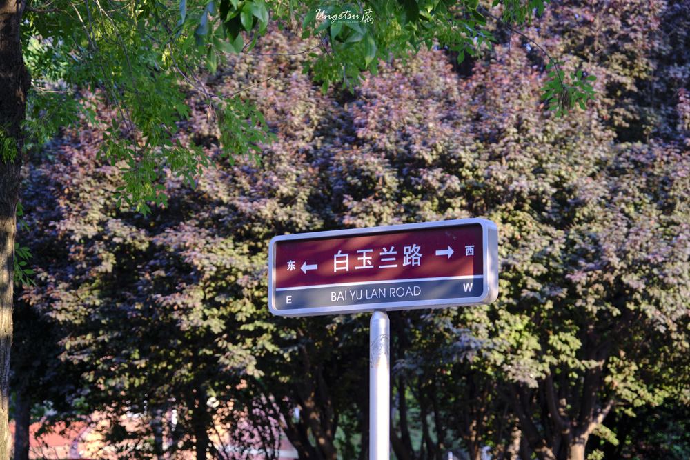 白玉兰路