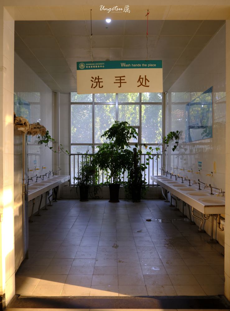 白玉兰路 21