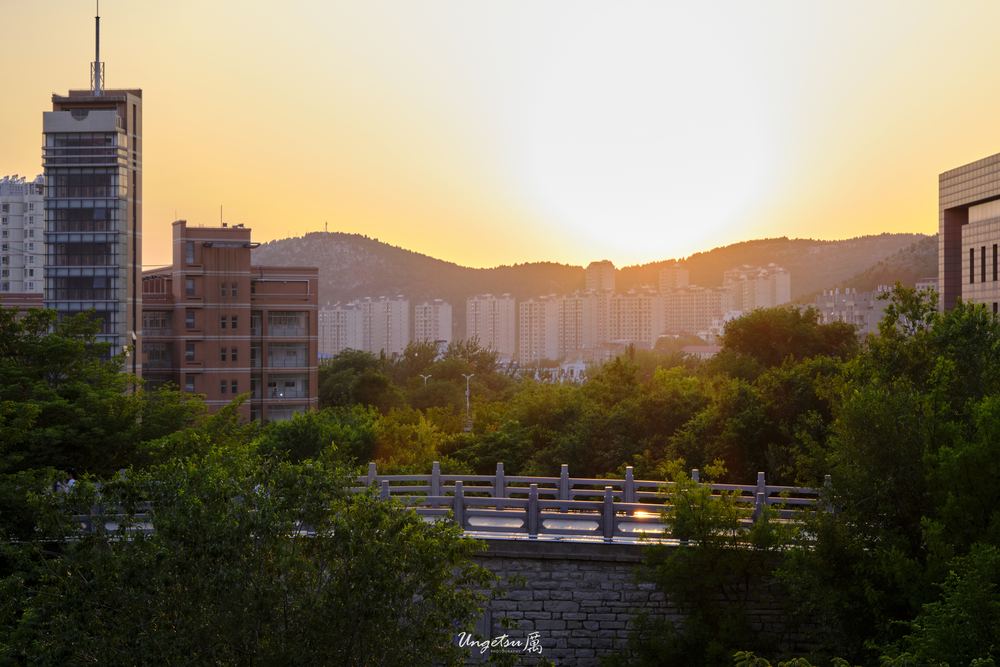 白玉兰路 30