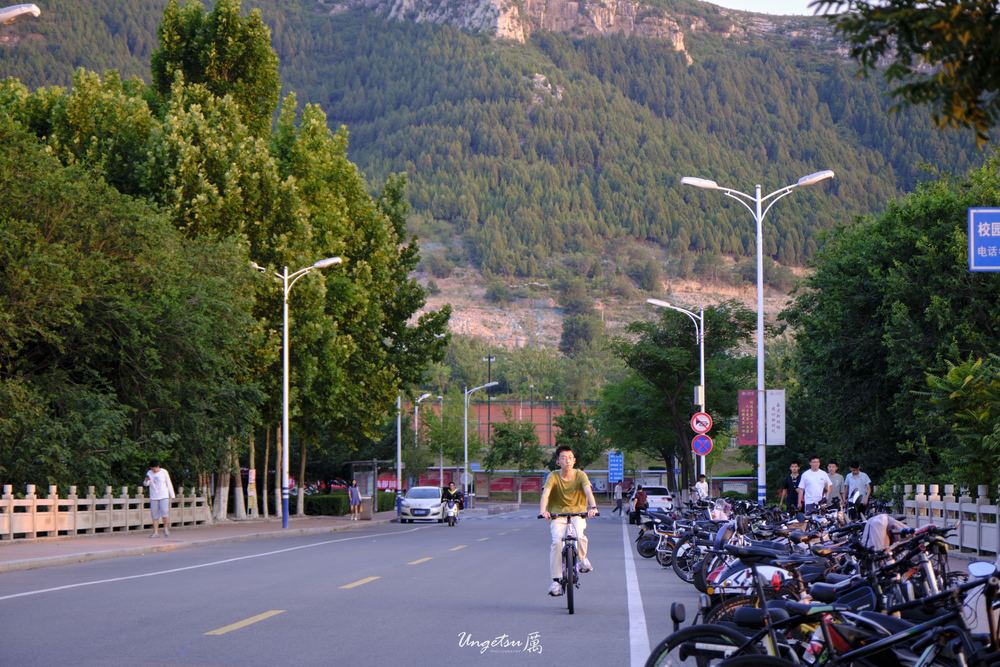 白玉兰路 33