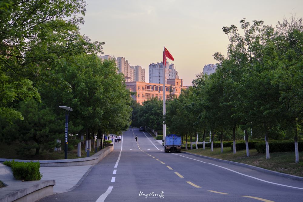 白玉兰路 34
