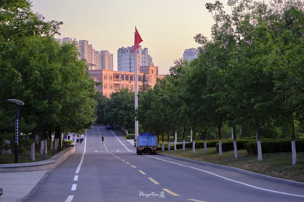 白玉兰路 35