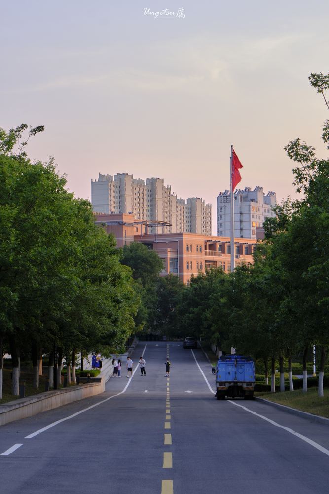 白玉兰路 36