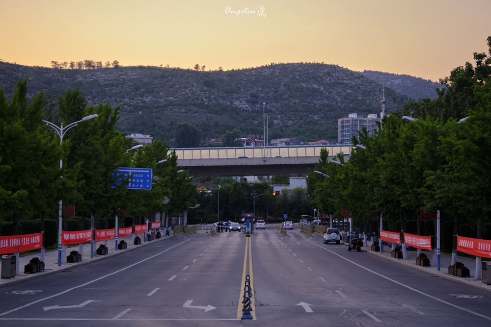 白玉兰路 41