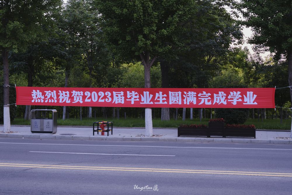 白玉兰路 42