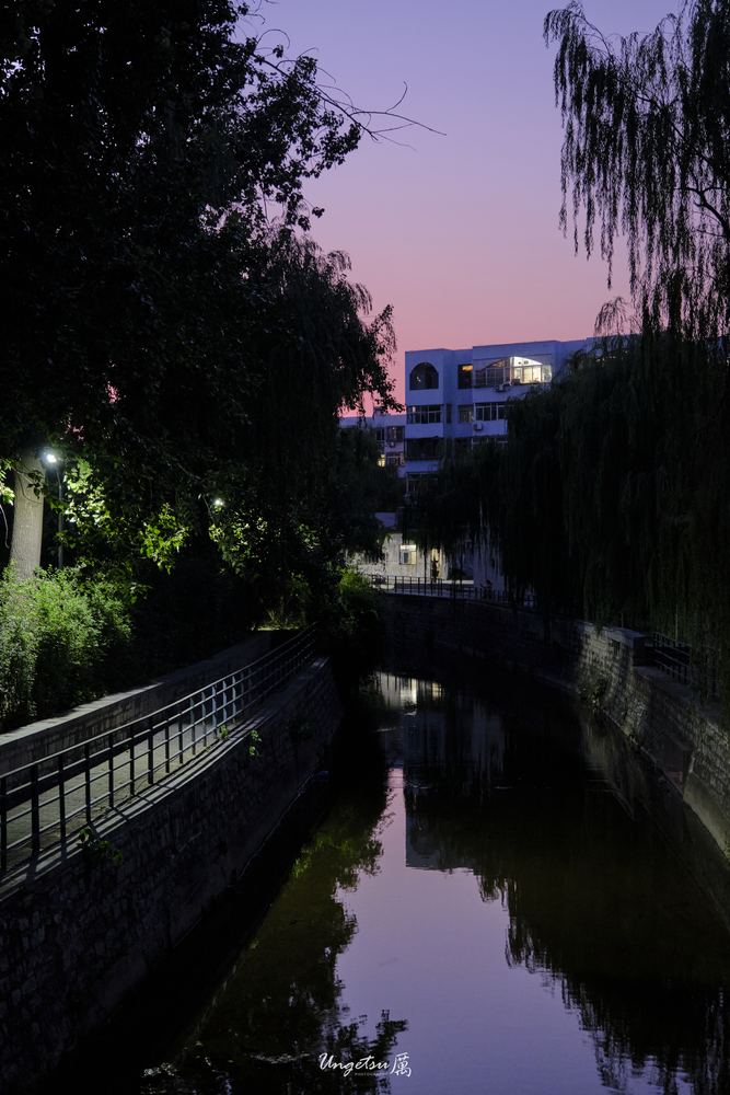 白玉兰路 46